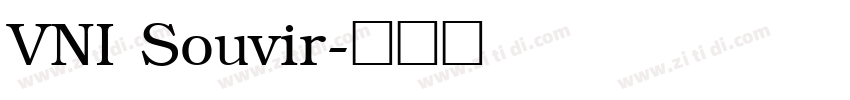 VNI Souvir字体转换